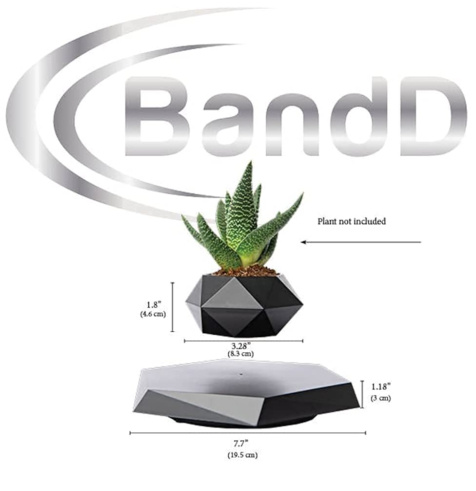 BandDlevs levitating planter with an air plant for modern display.