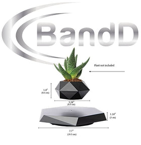 BandDlevs levitating planter with an air plant for modern display.