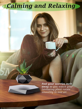 BandDlevs levitating planter rotates a succulent for dynamic decor.