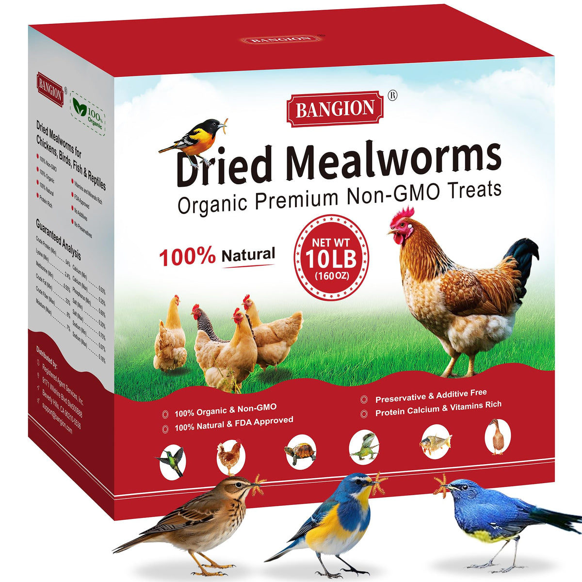 Bangion dried mealworms packaging shows premium organic non-GMO quality for poultry feed