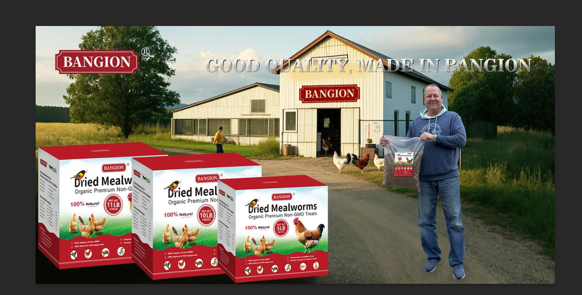 Bangion mealworms for birds promote healthy wild birds with protein-rich snack