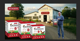 Bangion mealworms for birds promote healthy wild birds with protein-rich snack
