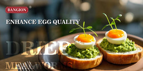 Bangion mealworms suitable for reptiles and small pets as protein-rich snack