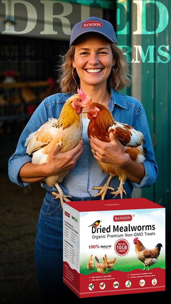 Bangion organic non-GMO mealworms for chickens, high-protein bird treats
