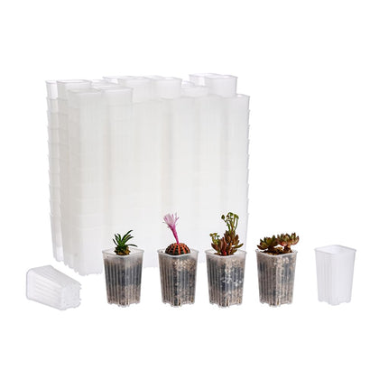 BangQiao mini clear square nursery pot—top view shows 1.95” opening ideal for seed starters.