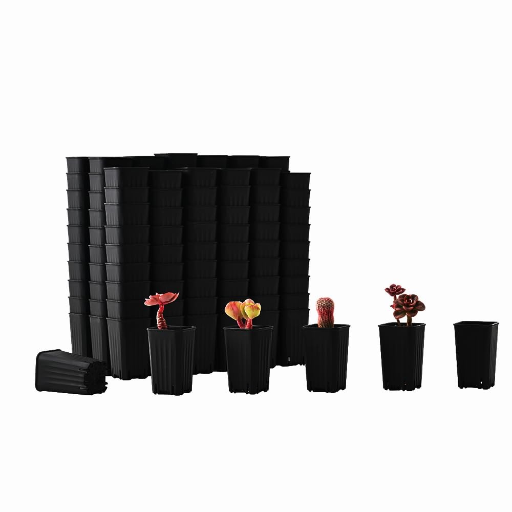 BangQiao 180-pack mini square pot, top view, ideal for seed starting in tight spaces.