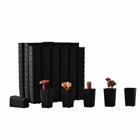 BangQiao 180-pack mini square pot, top view, ideal for seed starting in tight spaces.