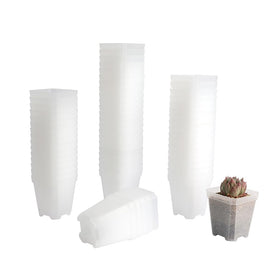 BangQiao 60-pack seed-start square pot for seedlings
