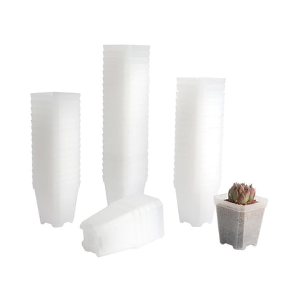 BangQiao 60-pack seed-start square pot for seedlings
