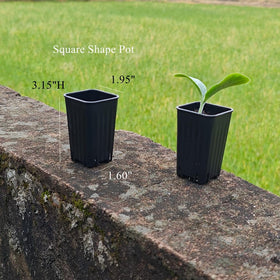 BangQiao drainage holes closeup highlighting moisture management.