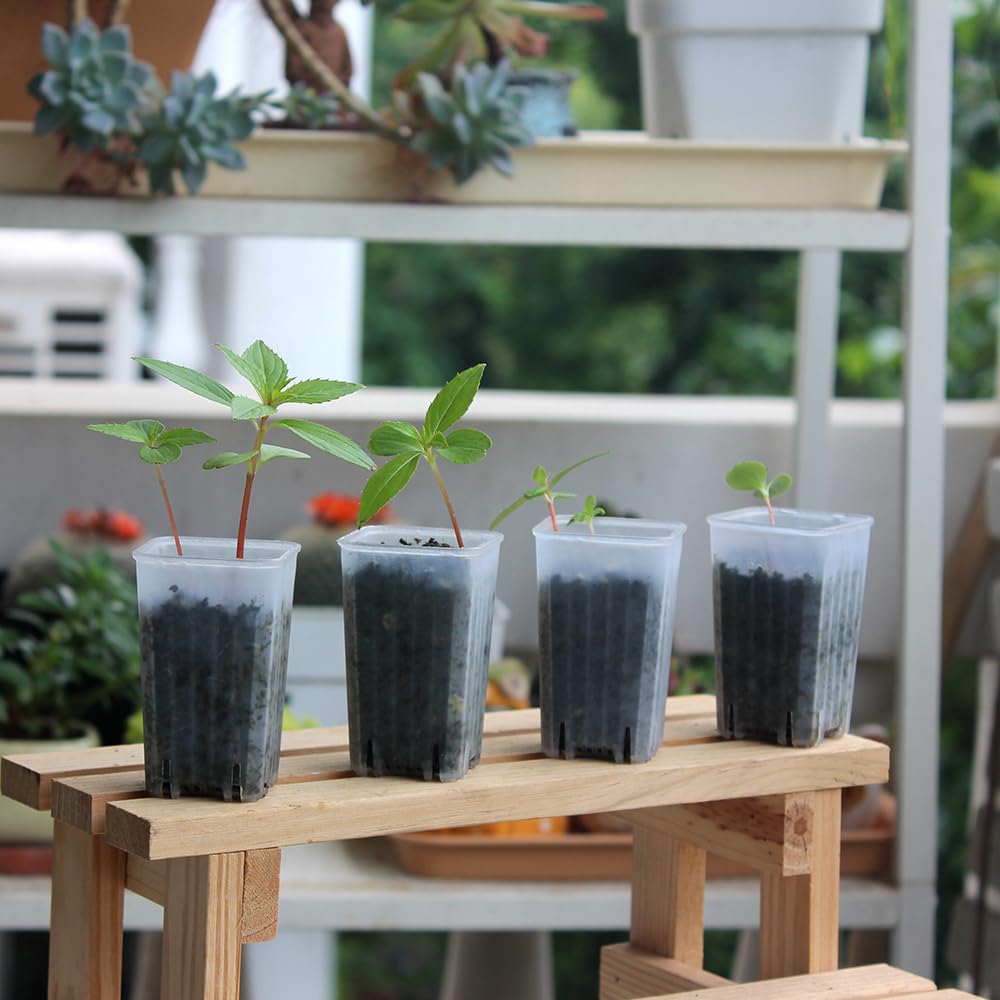 BangQiao pot set ships without saucers for flexible tray use.