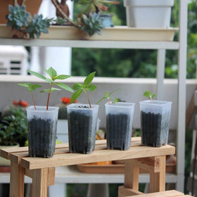 BangQiao pot set ships without saucers for flexible tray use.