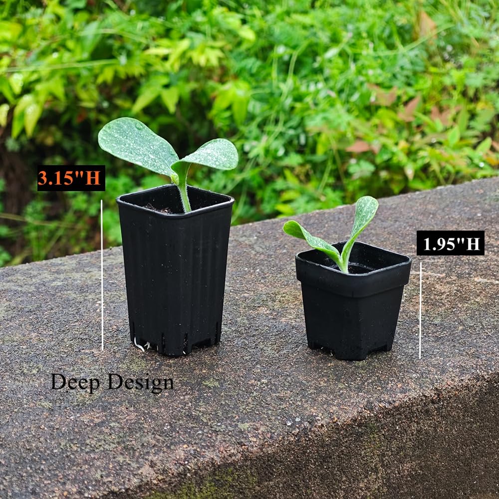 BangQiao seed starting mini pot ready for soil and seeds.