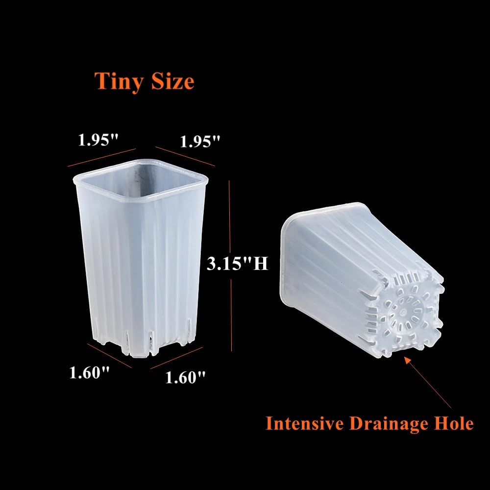 BangQiao clear square pot demonstrates stackable design for space-saving seed trays.