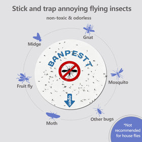 BANPESTT sticky glue board closeup shows strong adhesive ready to catch pests.