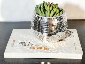 BAOBYAO disco ball planter 9 cm opening enables easy care