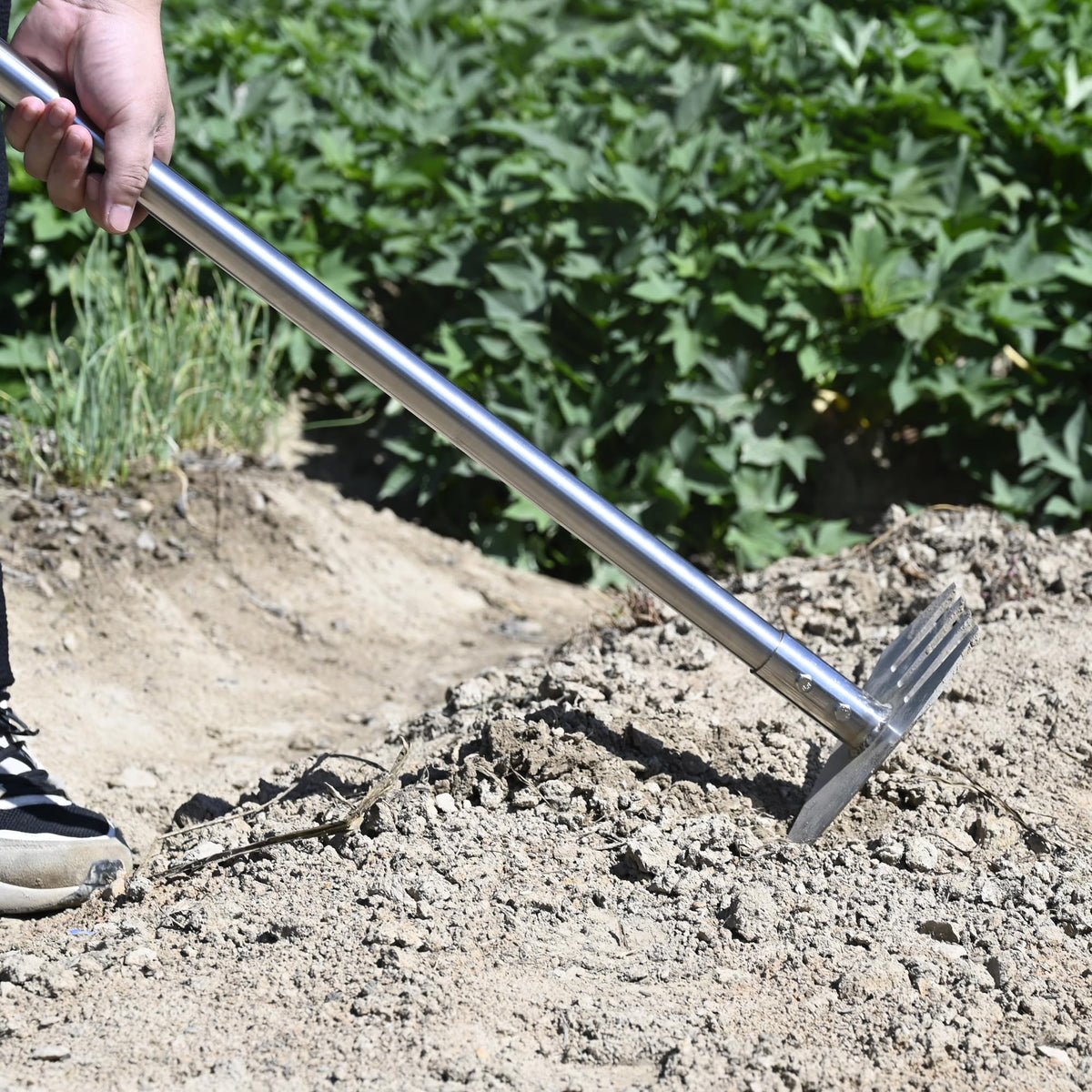 BARAYSTUS versatile gardening tool in action for planting, digging, loosening soil, moss removal