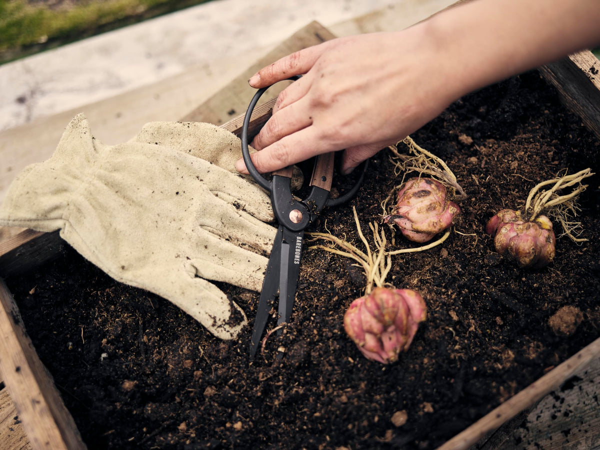 Large-handle pruners designed to handle bigger plants without fatigue.