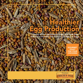 Barenbrug Premium Free Range Chicks Mix in poultry feeding areas encourages free-range browsing.