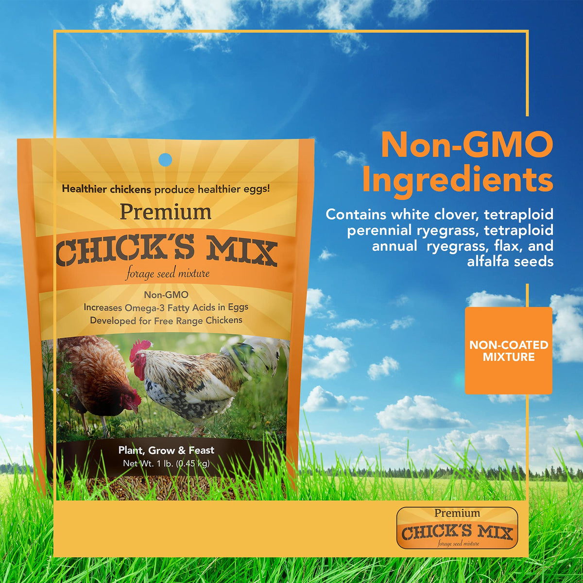 Barenbrug Premium Free Range Chicks Mix in garden plot promotes quick germination for grazing.