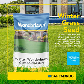 Close-up of Wonderlawn seed mix with weed-free composition and fast germination.