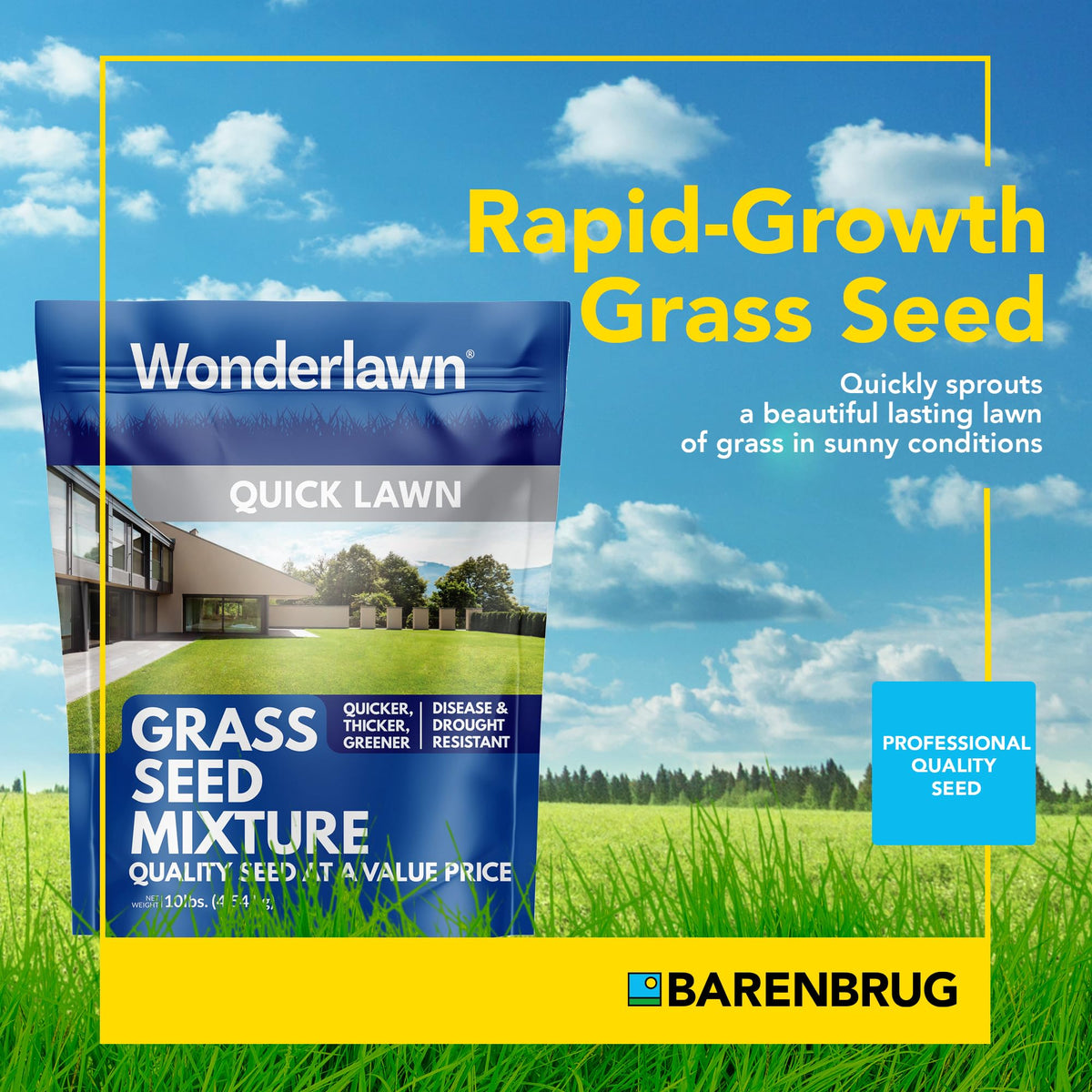 Barenbrug Wonderlawn sprouts quickly, illustrating fast germination in 5 to 10 days