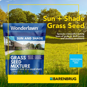 Barenbrug Wonderlawn seed mix germinating quickly, demonstrating fast establishment.
