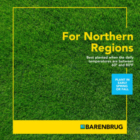 Barenbrug Wonderlawn seed mix demonstrates drought resistance for sun or shade.