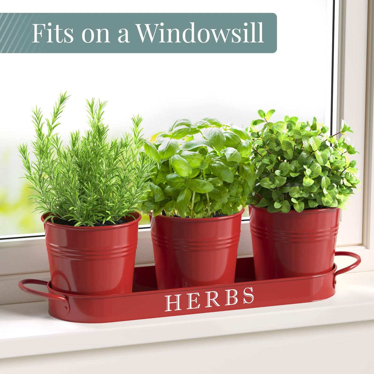Barnyard Designs decorative window planter with basil and rosemary, ready indoors
