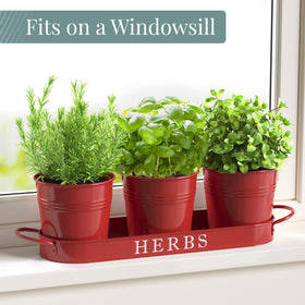 Barnyard Designs decorative window planter with basil and rosemary, ready indoors