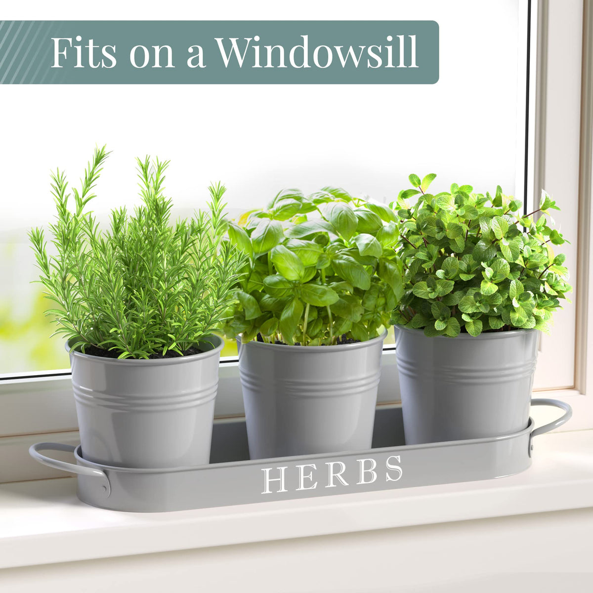 Barnyard Designs drainage holes tray shown with herb pots