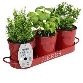 Barnyard Designs indoor herb planter with tray for easy kitchen herb access