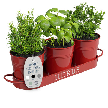 Barnyard Designs indoor herb planter with tray for easy kitchen herb access