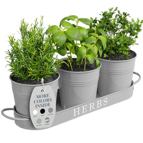Barnyard Designs indoor herb planter with tray on windowsill for fresh herbs