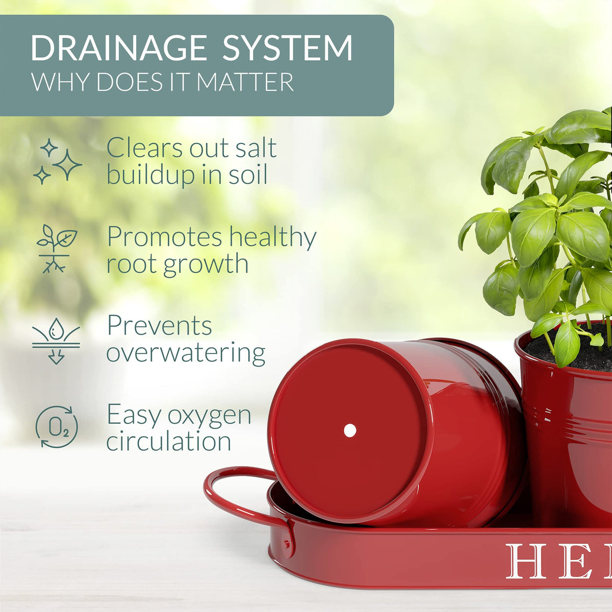 Barnyard Designs set of three herb pots with tray for windowsill display