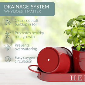 Barnyard Designs set of three herb pots with tray for windowsill display