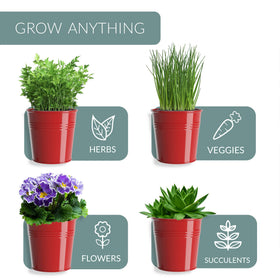 Barnyard Designs versatile herb planter suitable for indoor or outdoor growing