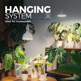 Barrina 16.4 ft power cord enables flexible pendant placement