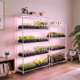 Barrina 6-pack grow lights with 180W total power and 864 LEDs.