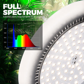 Barrina 2100 lumens at 8 inches promote strong plant growth