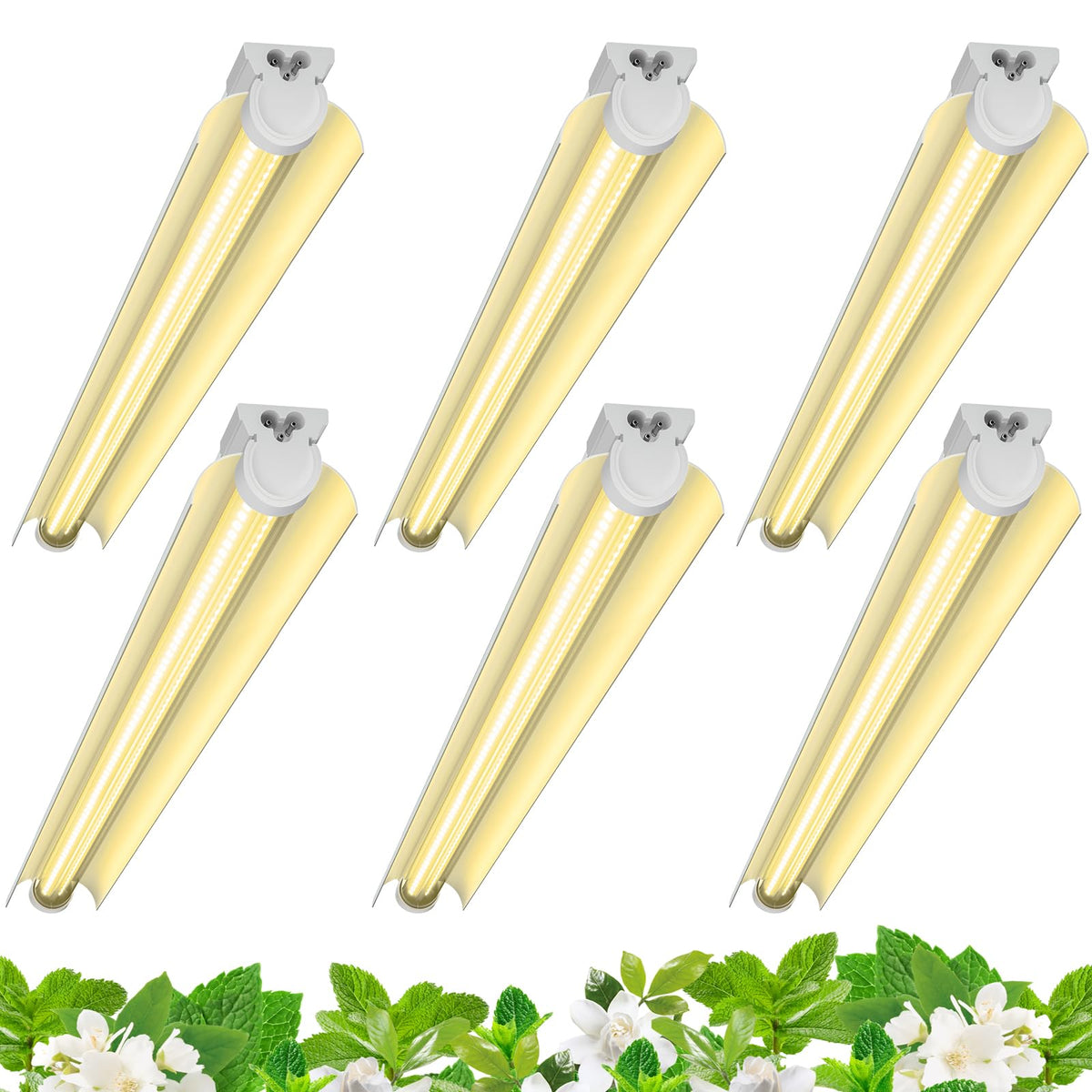Barrina 3ft T8 grow light six-pack packaging for quick setup