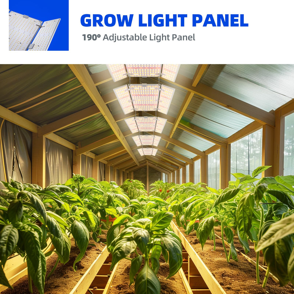 Barrina BU2000 compact seedling setup under the light for early growth