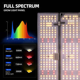 Barrina BU2000 close-up of blue, white, red LEDs delivering full spectrum light