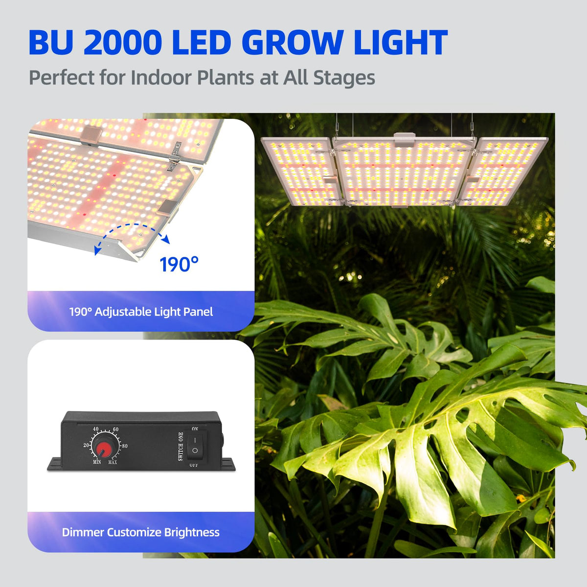 Barrina BU2000 panel angle-adjusted showing versatile light direction for multi-directional exposure