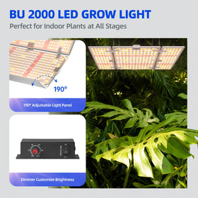 Barrina BU2000 panel angle-adjusted showing versatile light direction for multi-directional exposure