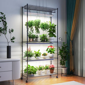 Barrina CX3 four-tier shelves maximizing space for many plants