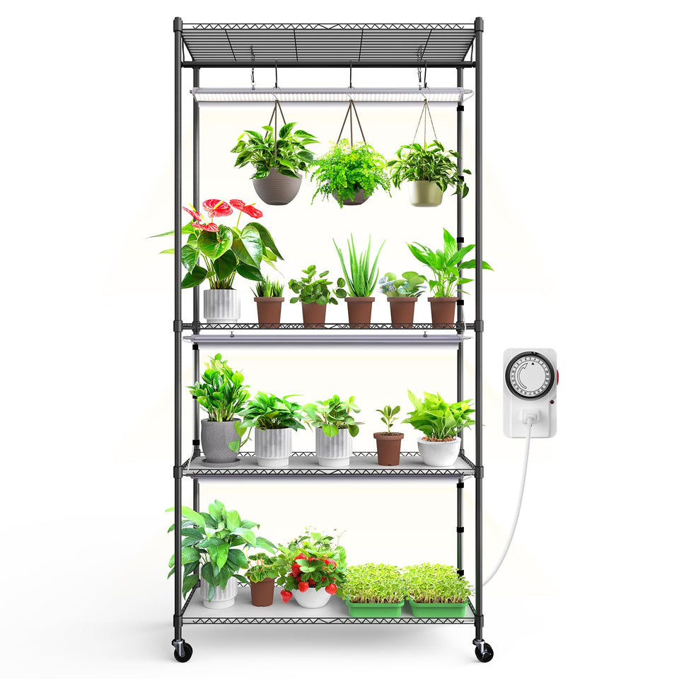 Barrina CX3 plant stand with grow lights for lush indoor gardening display