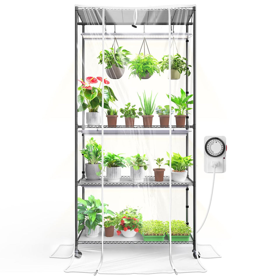 Barrina CX3Z indoor greenhouse with grow light boosts seedling growth.