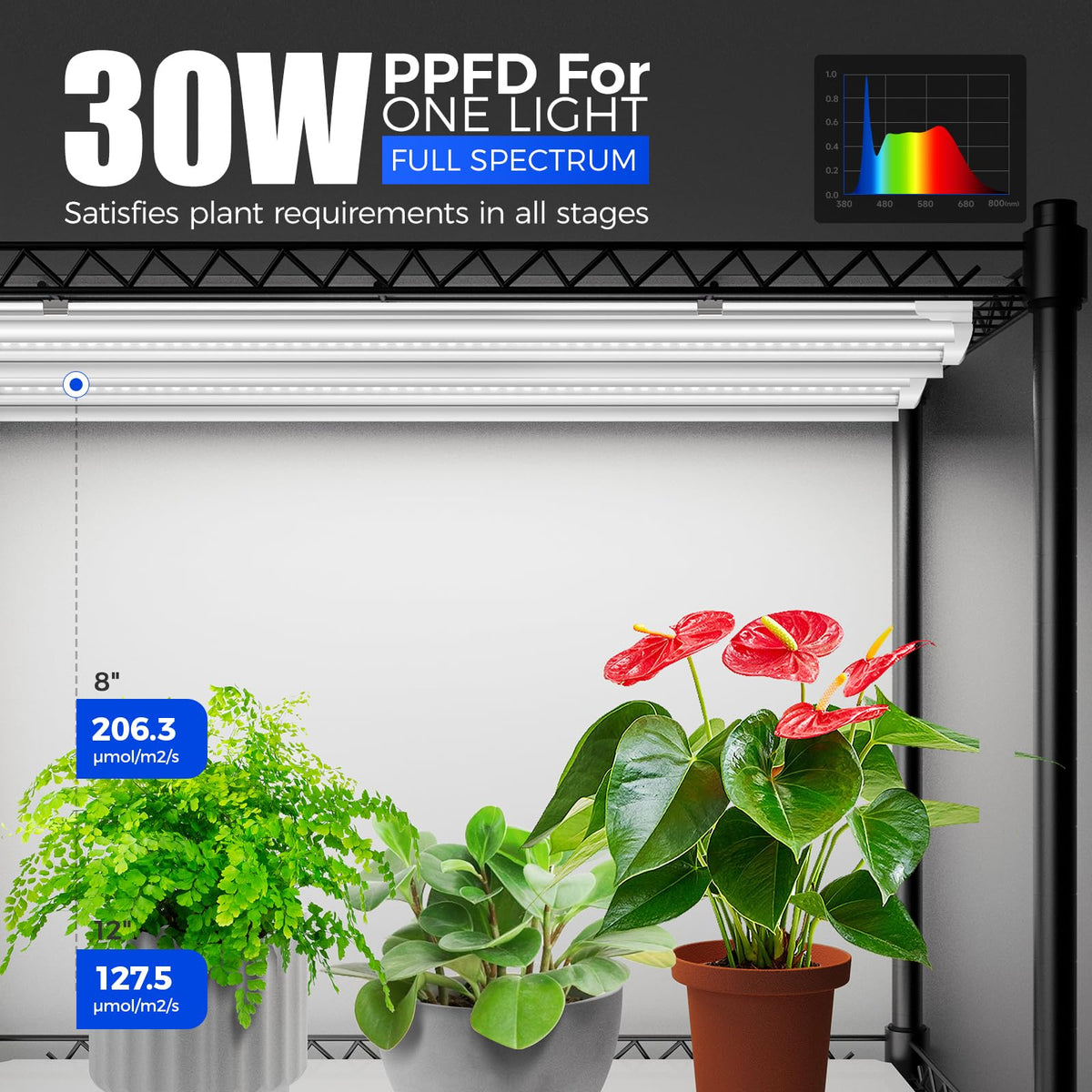 Barrina CX5Z 3ft T8 LEDs with reflectors boost light efficiency for faster sprouting