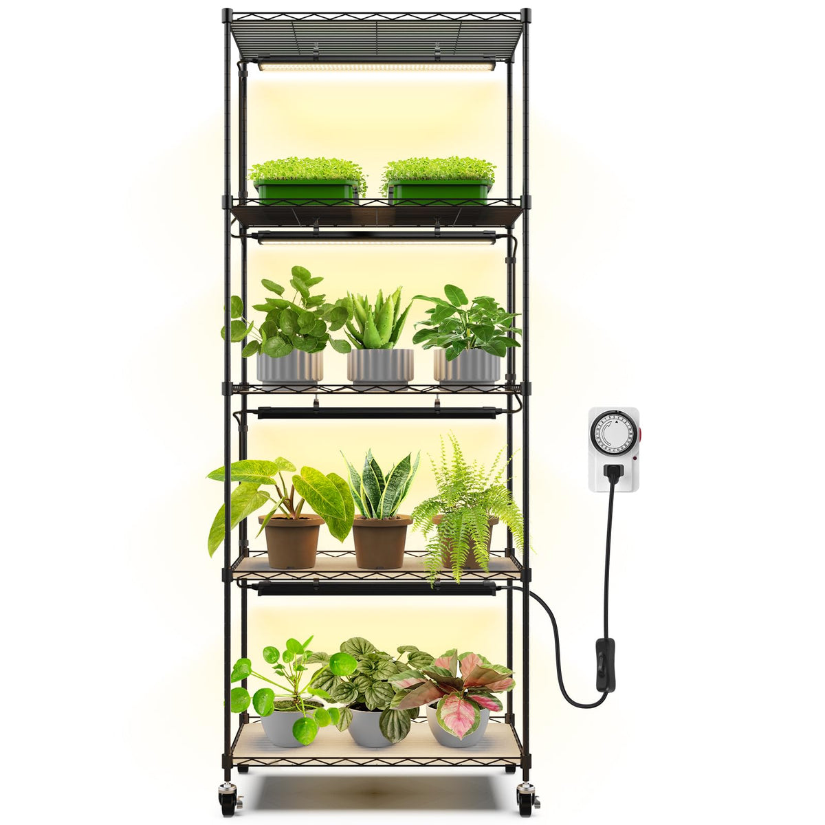 Barrina CX91 plant stand with five levels, ready to display indoor greens.